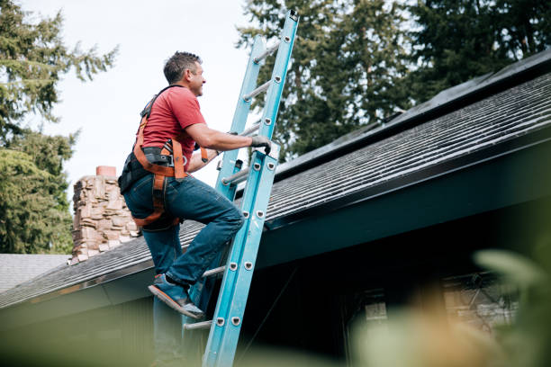 Best Roof Maintenance and Cleaning  in Little River, SC